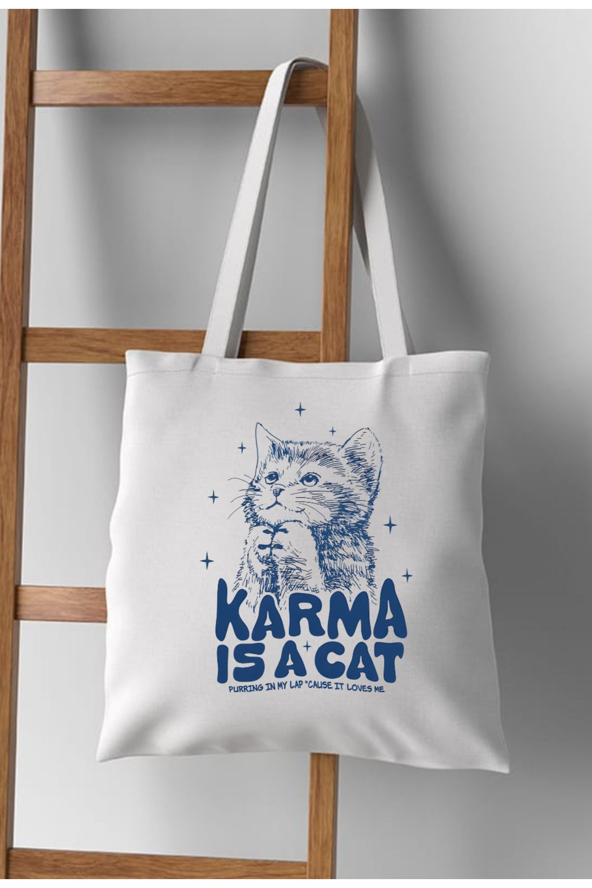 Karma Is A Cat Taylor Swift Kalın Kanvas Canvas Tote Bag Bez Çanta Pinterest Çanta