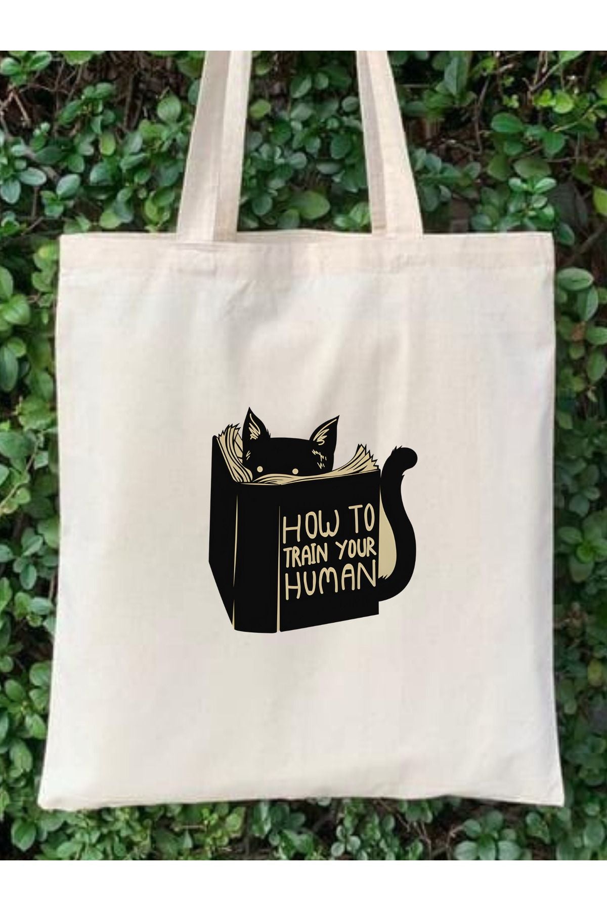 How To Train Your Human Kedi Tote Bag Bez Çanta